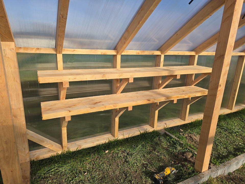 Inside a timber greenhouse, with two tiers of timber staging built along the polycarbonate wall