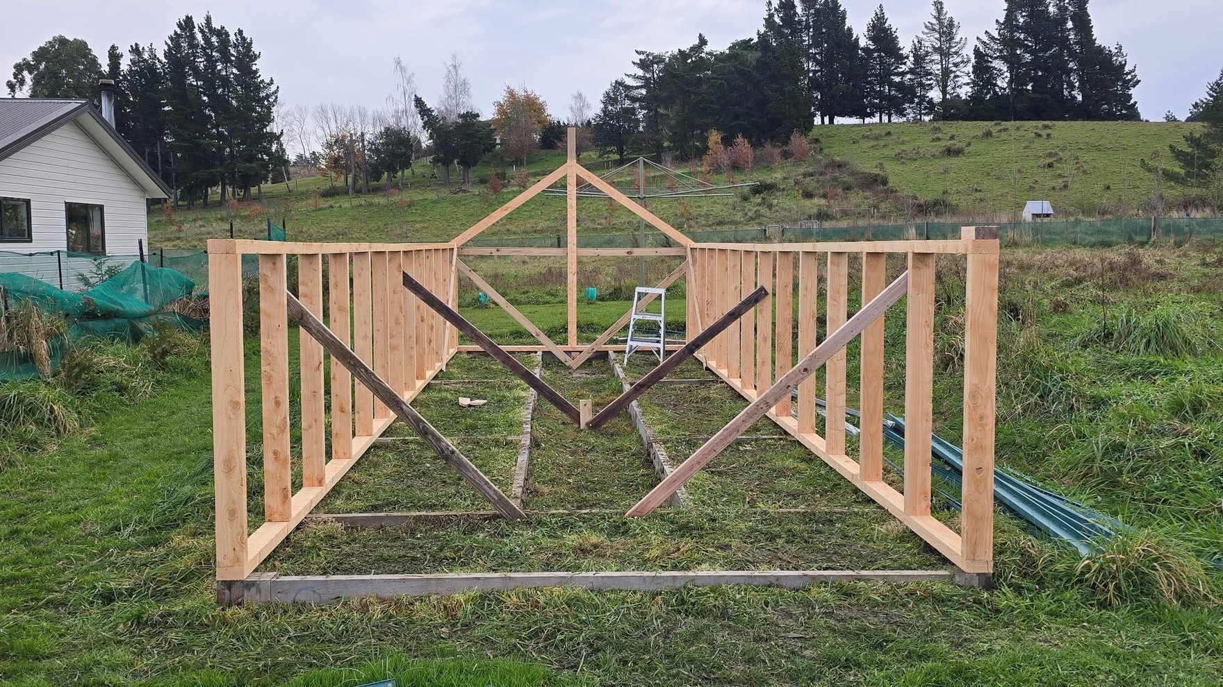 Timber framing of a greenhouse going up on flat open ground with shelter belts and a farmhouse behind